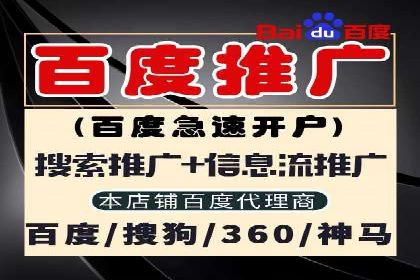 竞价广告的魔力：看XX公司如何逆袭市场